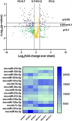 Hemorrhagic Stroke Induces a Time-Dependent Upregulation of miR-150-5p and miR-181b-5p in the Bloodstream